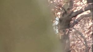 Nataly Lancaster Plays Strange Games Of Perversion