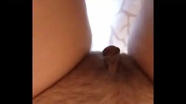 Si schiaffeggia la fica e gode