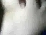 Beautiful bride fucks stranger while cuckolding hubby bb