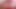 Keisha Grey starring at Red Velvet – Twistys