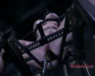 Left Alone – Bdsm