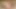 Jasmine Grey – Smallest Spinner