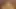 TRIKEPATROL Tiny Asian Porn Star Jasmine Grey Rides Big Dick