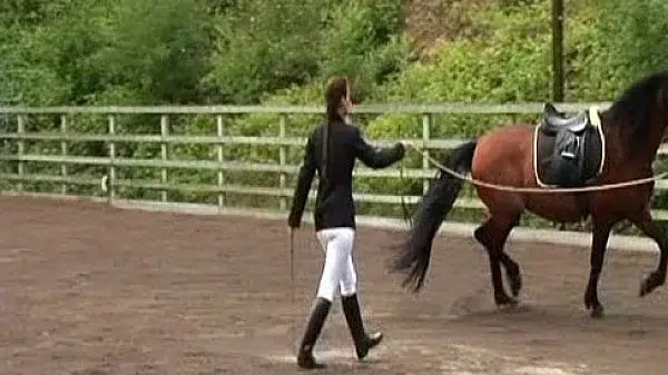 Harmony – Young Harlots Riding School – scene 5 – extract 3