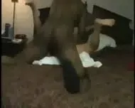 Swinger Girl’s First Interracial Creampie