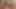 BaDoinkVR Your GF Alex Grey Can’t Wait Four You To Come Home And Cum At The Same Time As Her Again Part 2