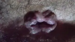 my pretty anal